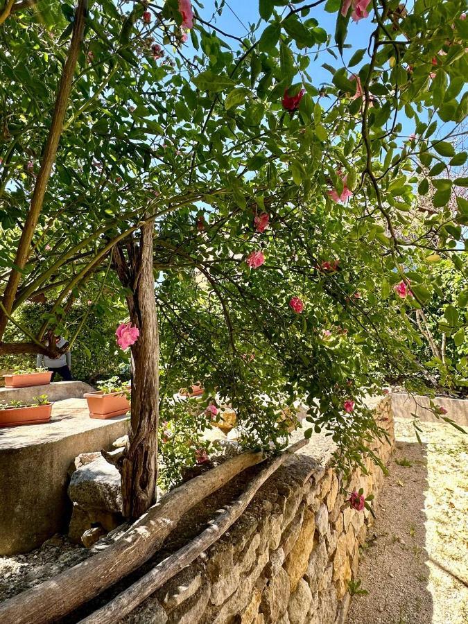 Clos De La Noria Pont-Saint-Esprit Buitenkant foto