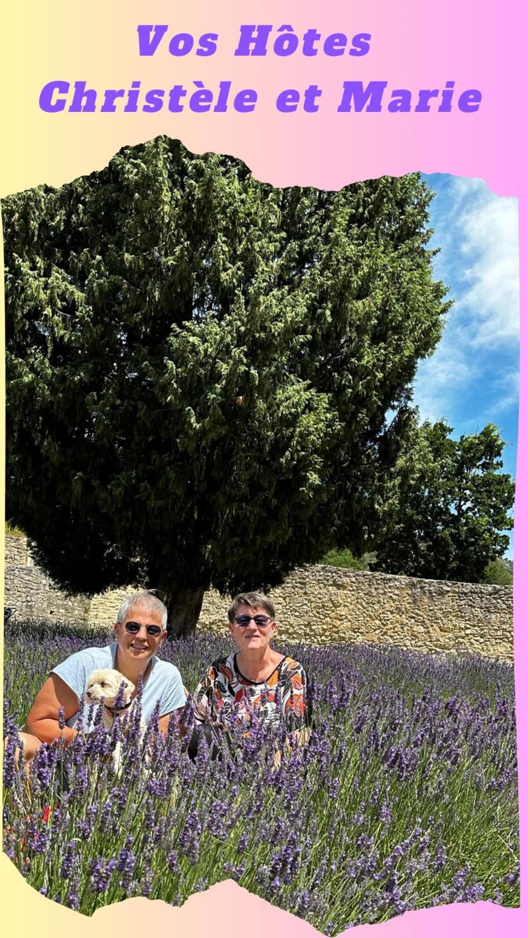 Clos De La Noria Pont-Saint-Esprit Buitenkant foto